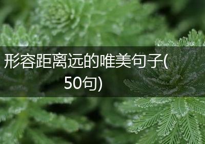 形容距离远的唯美句子(50句)