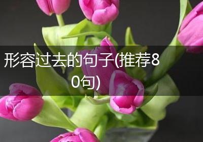 形容过去的句子(推荐80句)