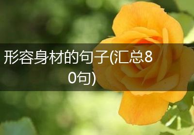 形容身材的句子(汇总80句)