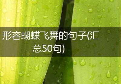 形容蝴蝶飞舞的句子(汇总50句)