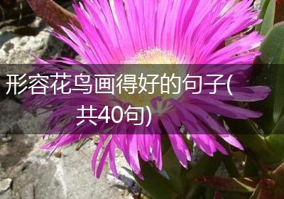 形容花鸟画得好的句子(共40句)