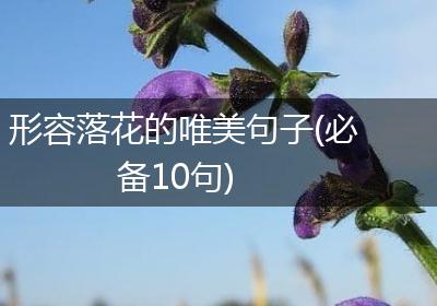 形容落花的唯美句子(必备10句)