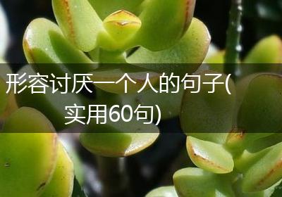 形容讨厌一个人的句子(实用60句)