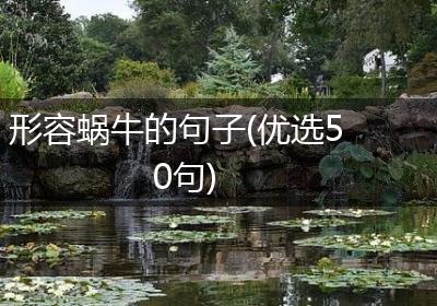 形容蜗牛的句子(优选50句)