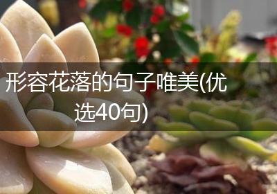形容花落的句子唯美(优选40句)