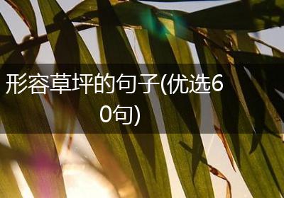 形容草坪的句子(优选60句)