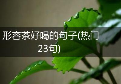 形容茶好喝的句子(热门23句)