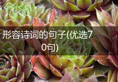 形容诗词的句子(优选70句)