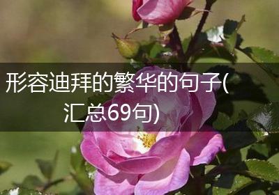 形容迪拜的繁华的句子(汇总69句)