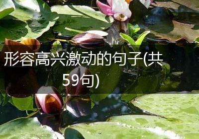 形容高兴激动的句子(共59句)