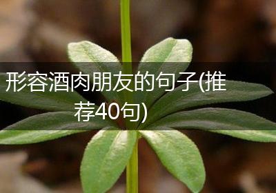 形容酒肉朋友的句子(推荐40句)
