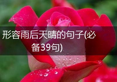 形容雨后天晴的句子(必备39句)