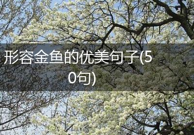 形容金鱼的优美句子(50句)