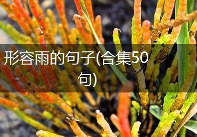 形容雨的句子(合集50句)