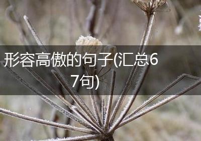 形容高傲的句子(汇总67句)