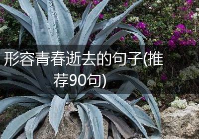 形容青春逝去的句子(推荐90句)