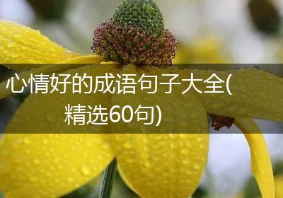 心情好的成语句子大全(精选60句)