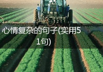 心情复杂的句子(实用51句)