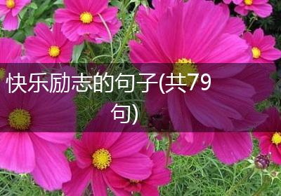 快乐励志的句子(共79句)