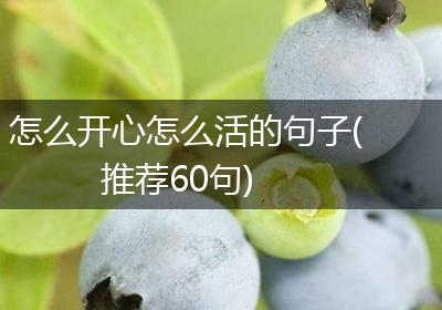 怎么开心怎么活的句子(推荐60句)
