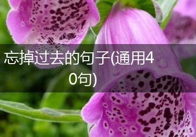 忘掉过去的句子(通用40句)
