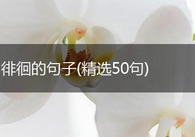 徘徊的句子(精选50句)