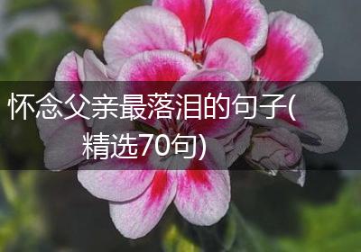 怀念父亲最落泪的句子(精选70句)