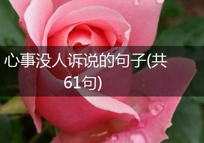 心事没人诉说的句子(共61句)