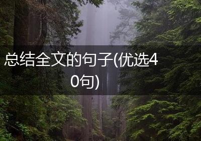 总结全文的句子(优选40句)