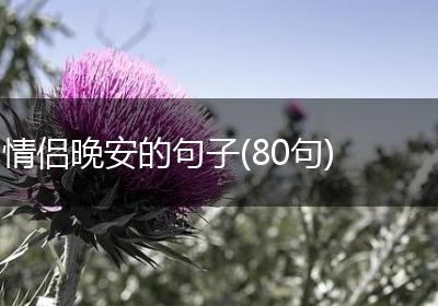情侣晚安的句子(80句)