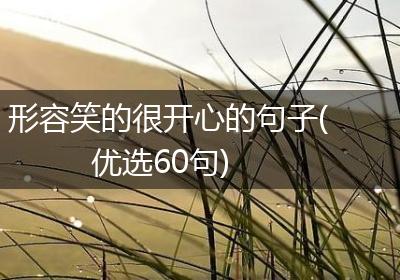 形容笑的很开心的句子(优选60句)