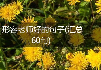 形容老师好的句子(汇总60句)