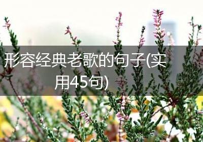 形容经典老歌的句子(实用45句)
