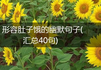形容肚子饿的幽默句子(汇总40句)