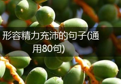 形容精力充沛的句子(通用80句)
