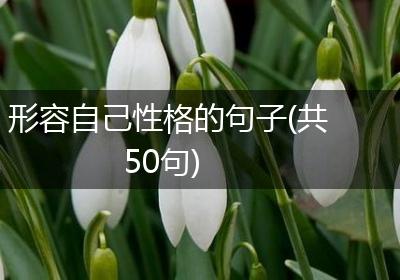 形容自己性格的句子(共50句)