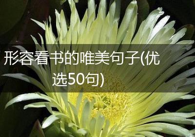 形容看书的唯美句子(优选50句)