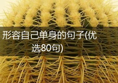 形容自己单身的句子(优选80句)