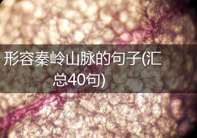 形容秦岭山脉的句子(汇总40句)