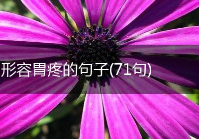形容胃疼的句子(71句)