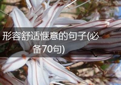 形容舒适惬意的句子(必备70句)