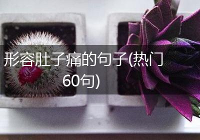 形容肚子痛的句子(热门60句)