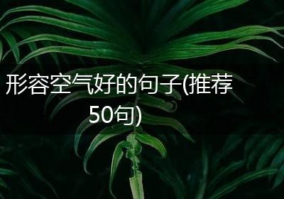 形容空气好的句子(推荐50句)