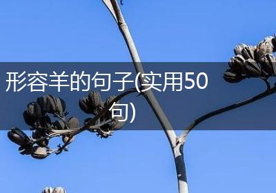 形容羊的句子(实用50句)