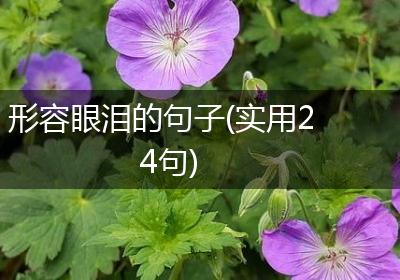 形容眼泪的句子(实用24句)