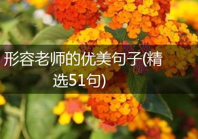 形容老师的优美句子(精选51句)