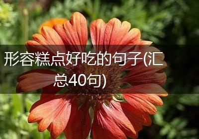 形容糕点好吃的句子(汇总40句)