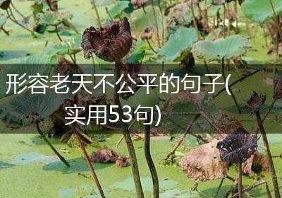 形容老天不公平的句子(实用53句)