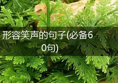 形容笑声的句子(必备60句)