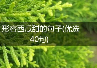 形容西瓜甜的句子(优选40句)